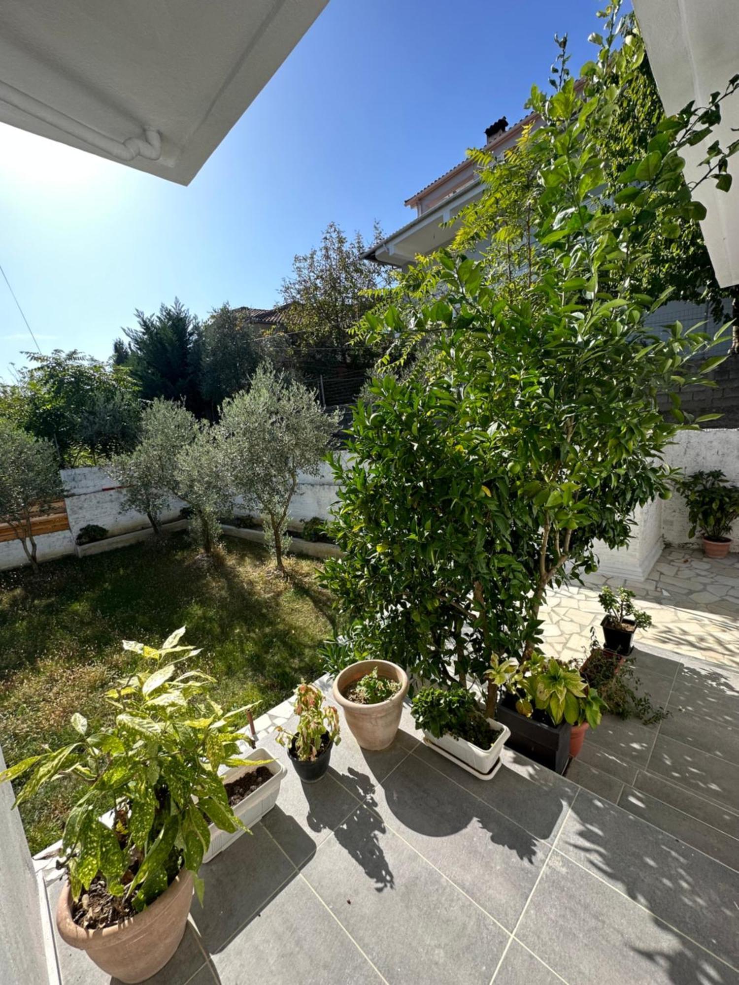 Villa Braho Gjirokastra Zewnętrze zdjęcie