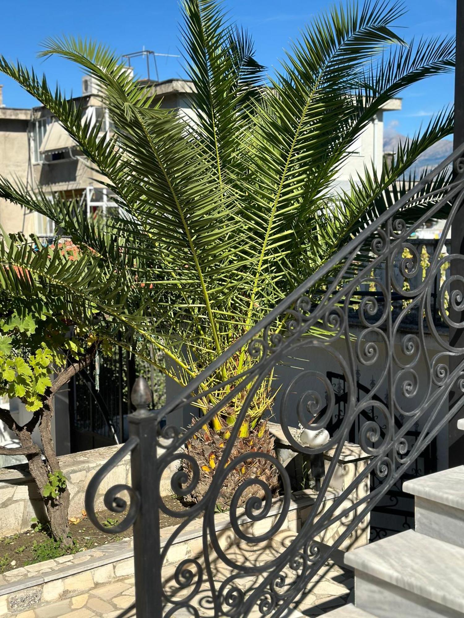 Villa Braho Gjirokastra Zewnętrze zdjęcie