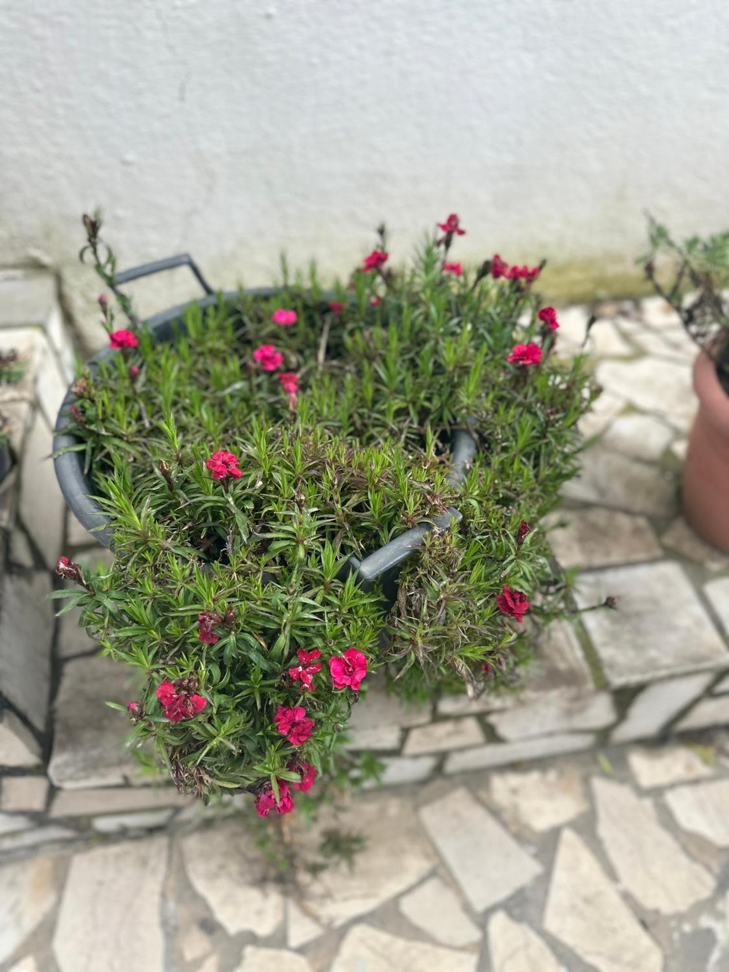 Villa Braho Gjirokastra Zewnętrze zdjęcie
