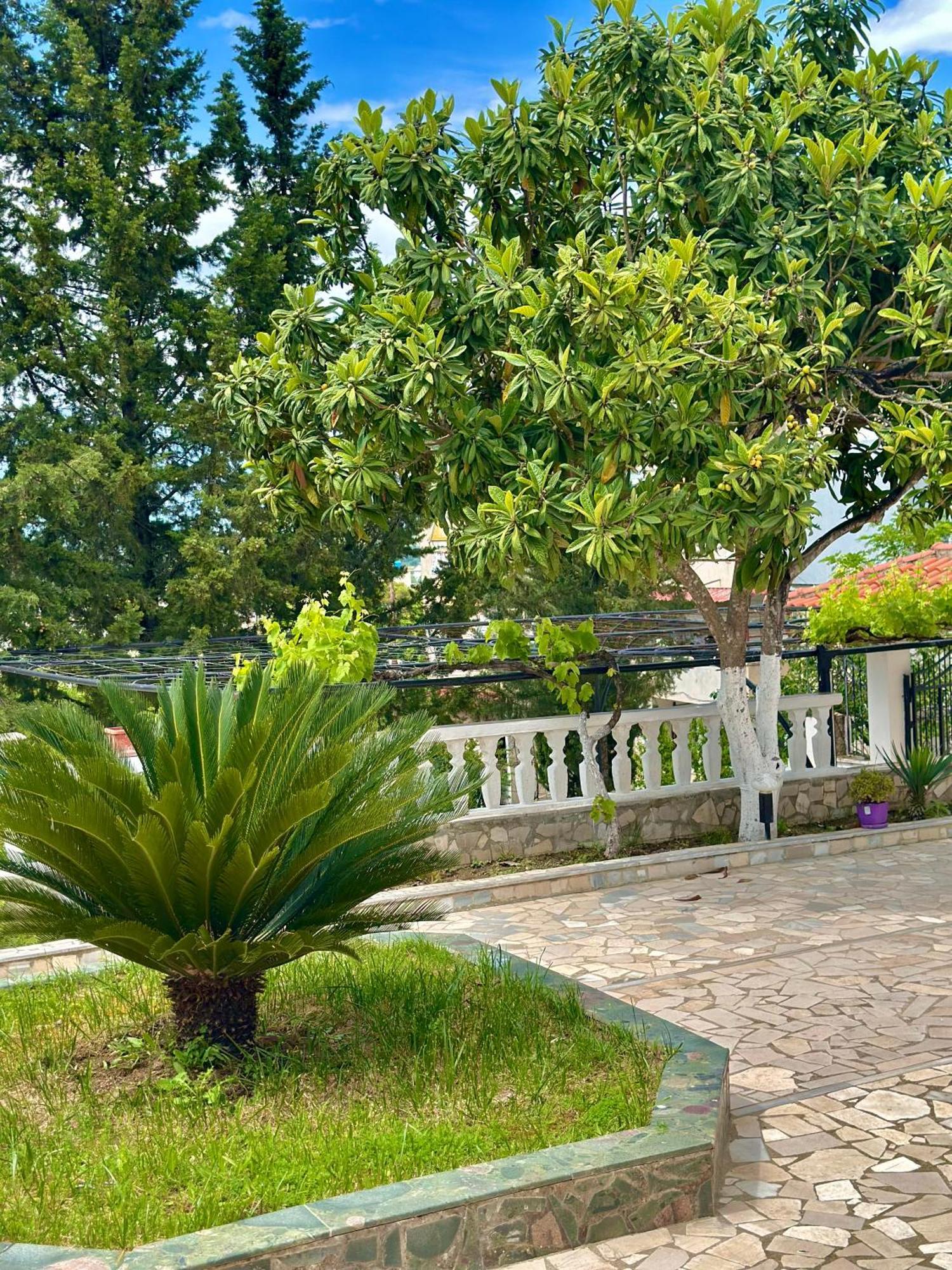 Villa Braho Gjirokastra Zewnętrze zdjęcie