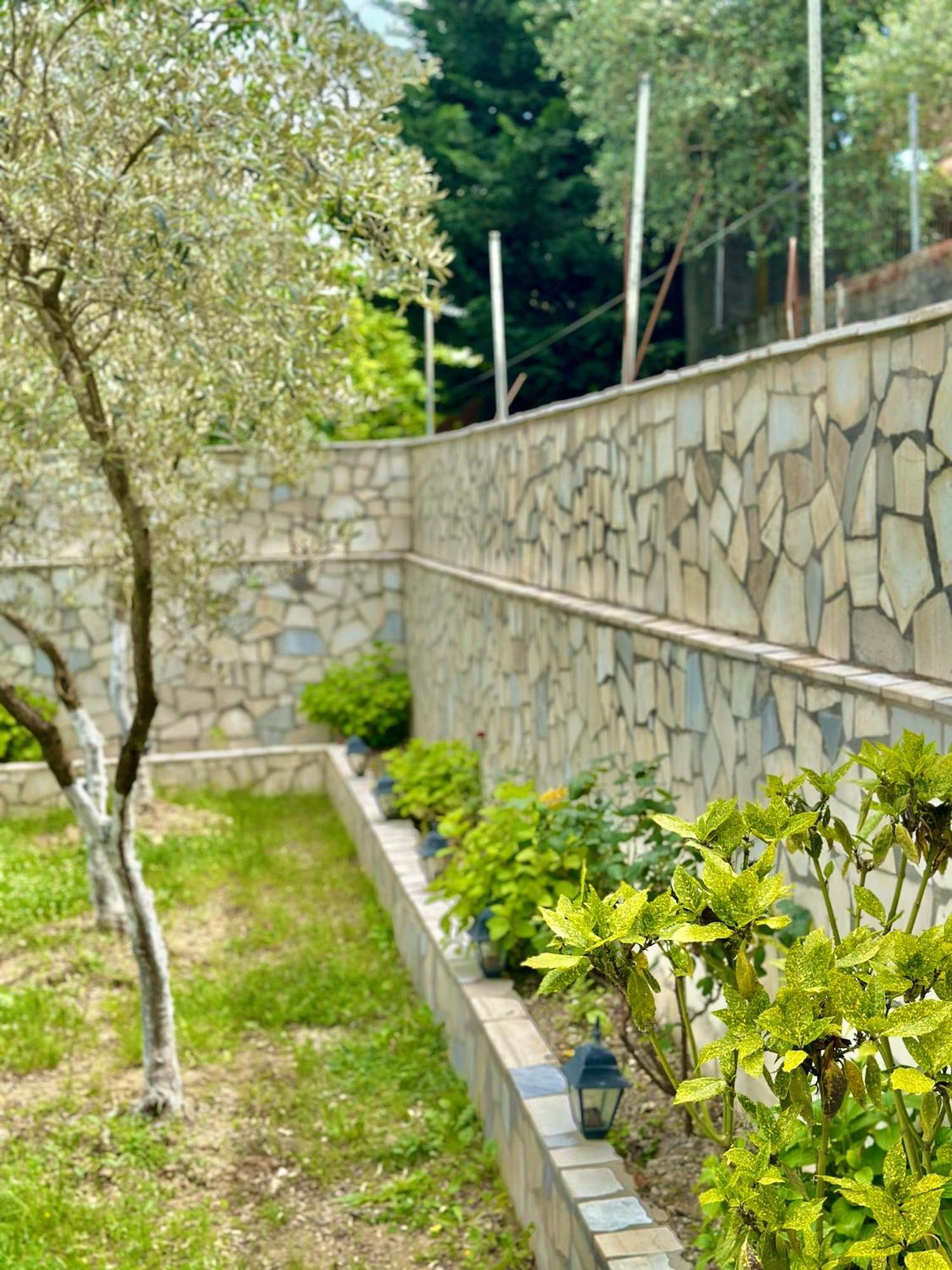 Villa Braho Gjirokastra Zewnętrze zdjęcie